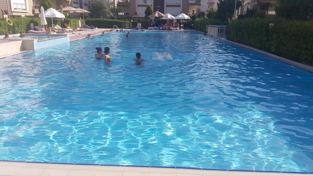 Aqua Daire